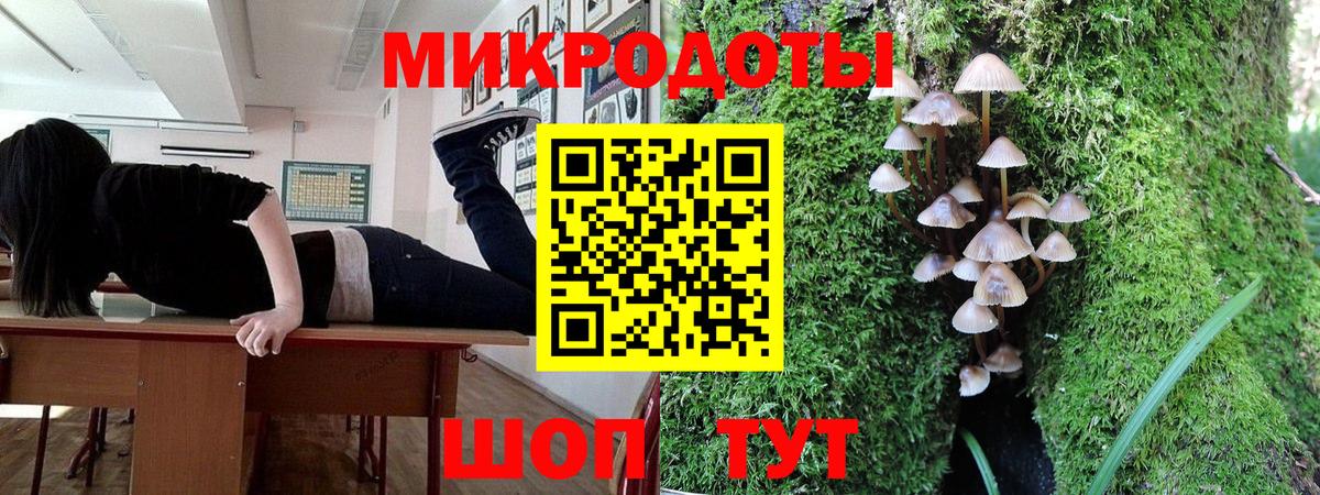 Каменка  Псилоцибиновые грибы мицелий  Вход с VPN  Псилоцибиновые грибы ЛСД 