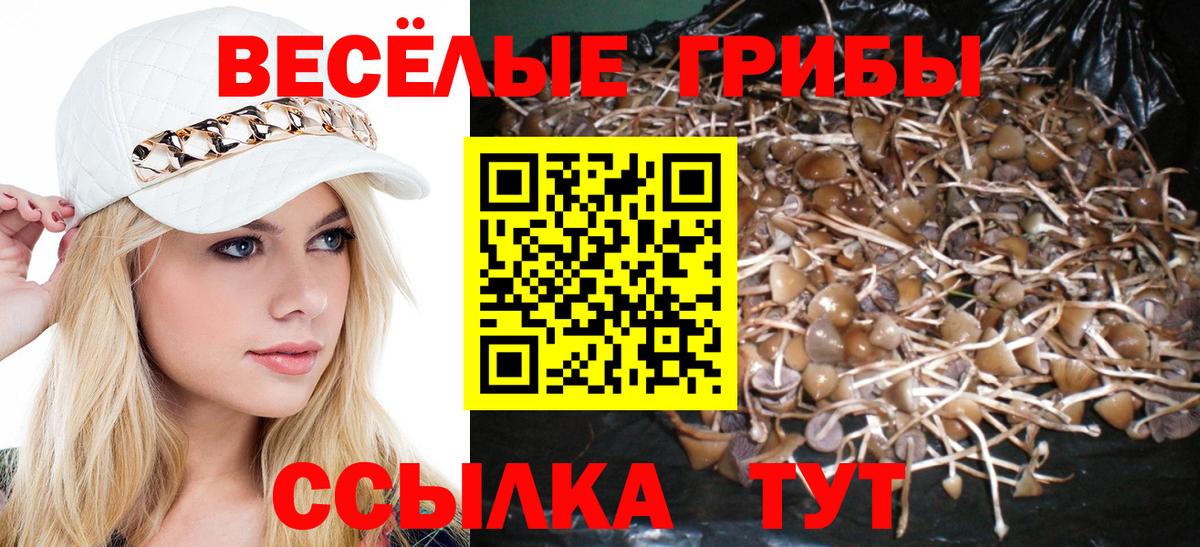 Псилоцибиновые грибы MAGIC MUSHROOMS Каменка